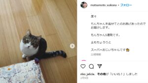 松本若菜の猫は雄