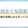 結城さくなの前世のプロフがそっくり